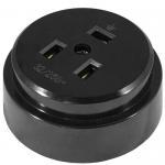 РШ 2P+PE 250В черная